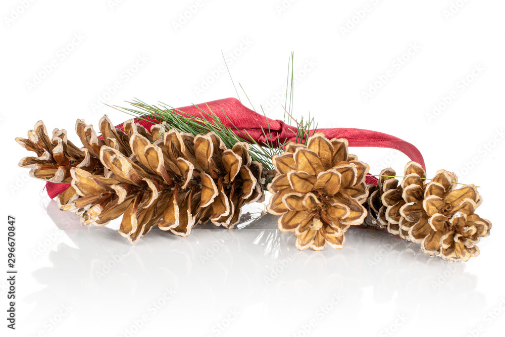 Group of four whole forest brown pine cone front focus with red ribbon isolated on white background
