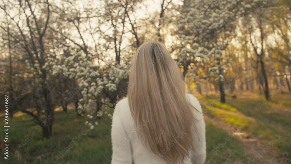 Attractive young woman in sweater, jeans is dance and spinning among blossom apple tree. Sunset, spring orchard and green field. Slow motion. Attractive young woman in sweater, jeans is dance and spinning among blossom apple tree. Sunset, spring orchard and green field. Slow motion.