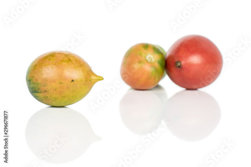 Group of three whole fresh tomato de barao isolated on white background photo