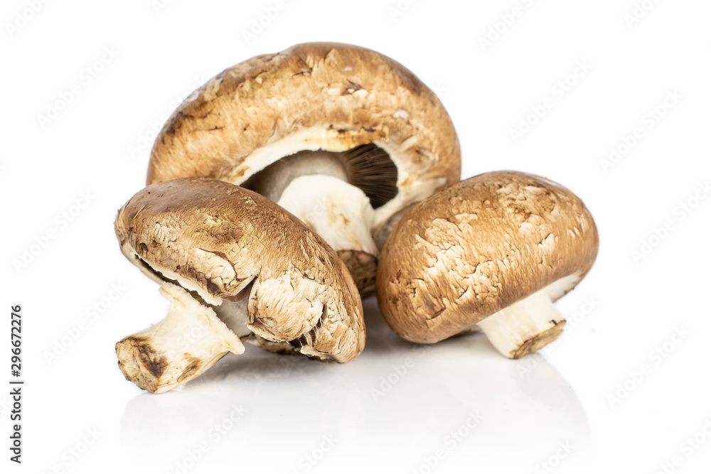 Group of three whole fresh brown mushroom champignon isolated on white background Group of three whole fresh brown mushroom champignon isolated on white background