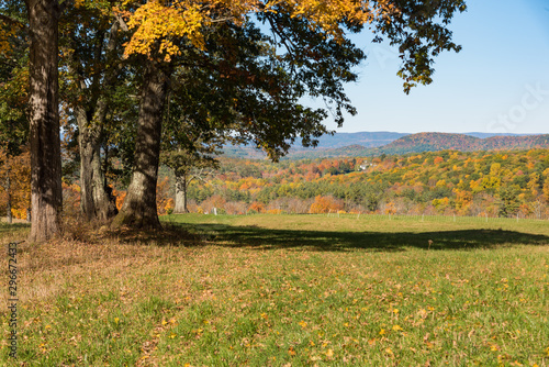 Distant forest in fall color with foreground trees and blue sky