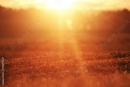 sunrise on the lawn © Leah