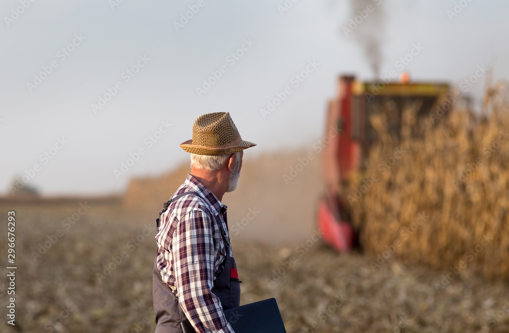 Farmer with laptop at corn harvest