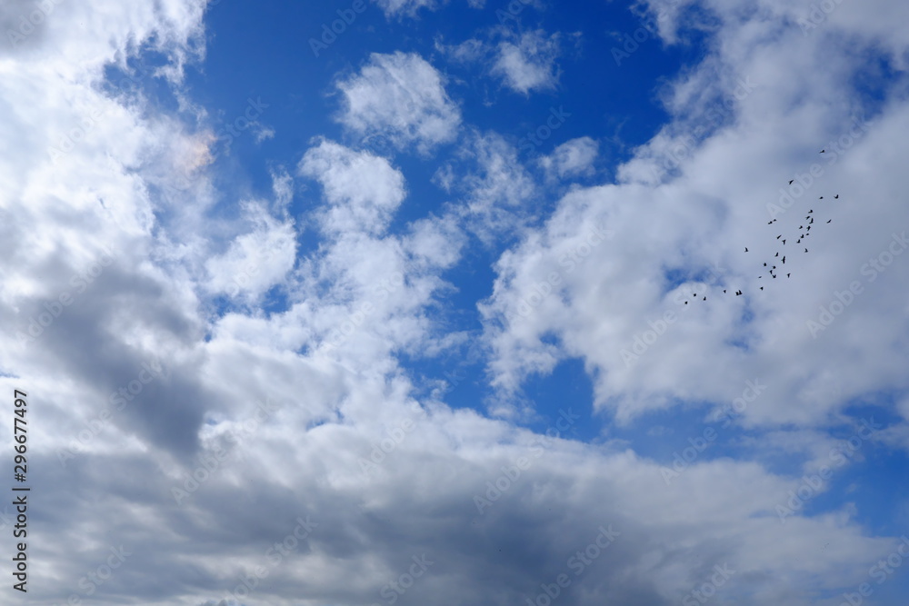 Obraz premium 青空