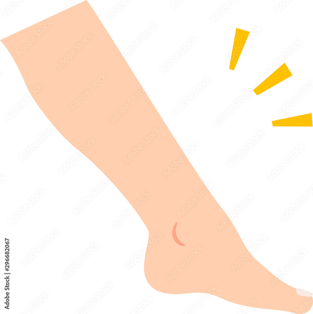 横から見た足のふくらはぎから足先 Stock Vector Adobe Stock 横から見た足のふくらはぎから足先 Stock Vector Adobe Stock