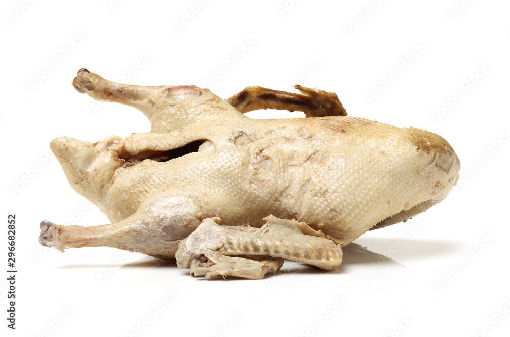 Fototapeta premium Goose on white background