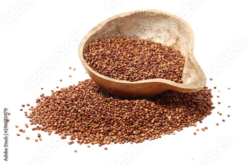 Sorgo seed (Sorghum Moench) on white background