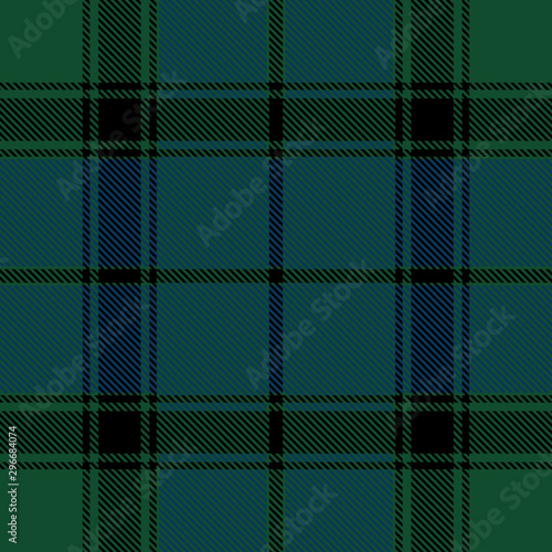 Beautiful classic green blue plaid pattern vector
