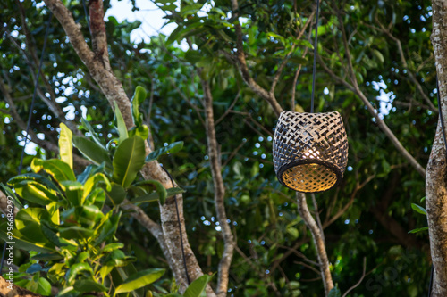 Wood lamp on tree with bokeh