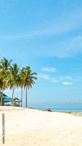 Beautiful view at derawan Island, Indonesia. coconut tree and white sand on the beach