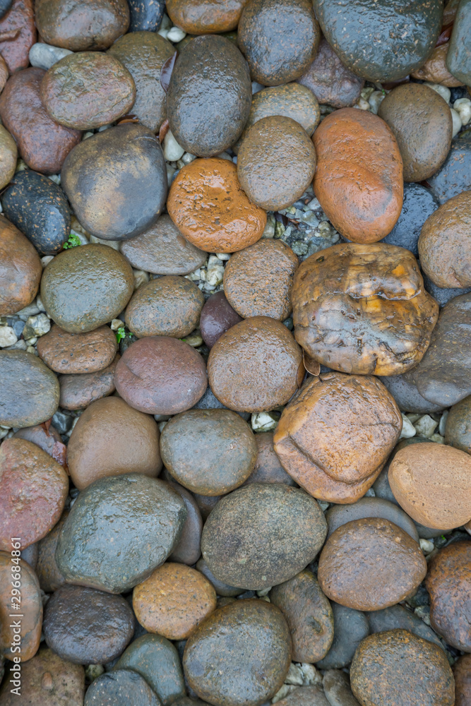Wet rock river texture Wet rock river texture