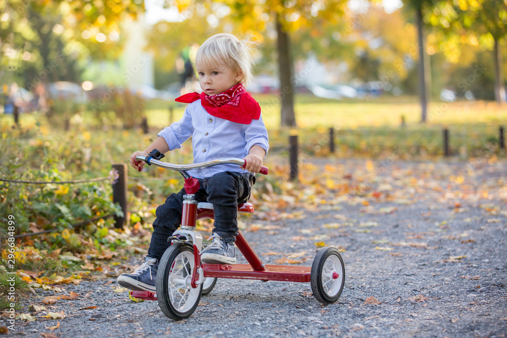 Beautiful blonde two years old toddler boy, riding red tricycle in the park on sunset Beautiful blonde two years old toddler boy, riding red tricycle in the park on sunset