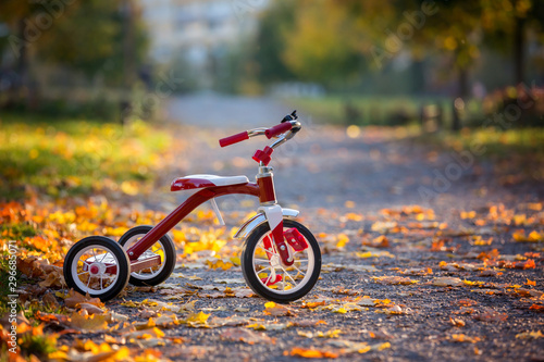 Red tricycle in the park on sunset, beautiful day photo