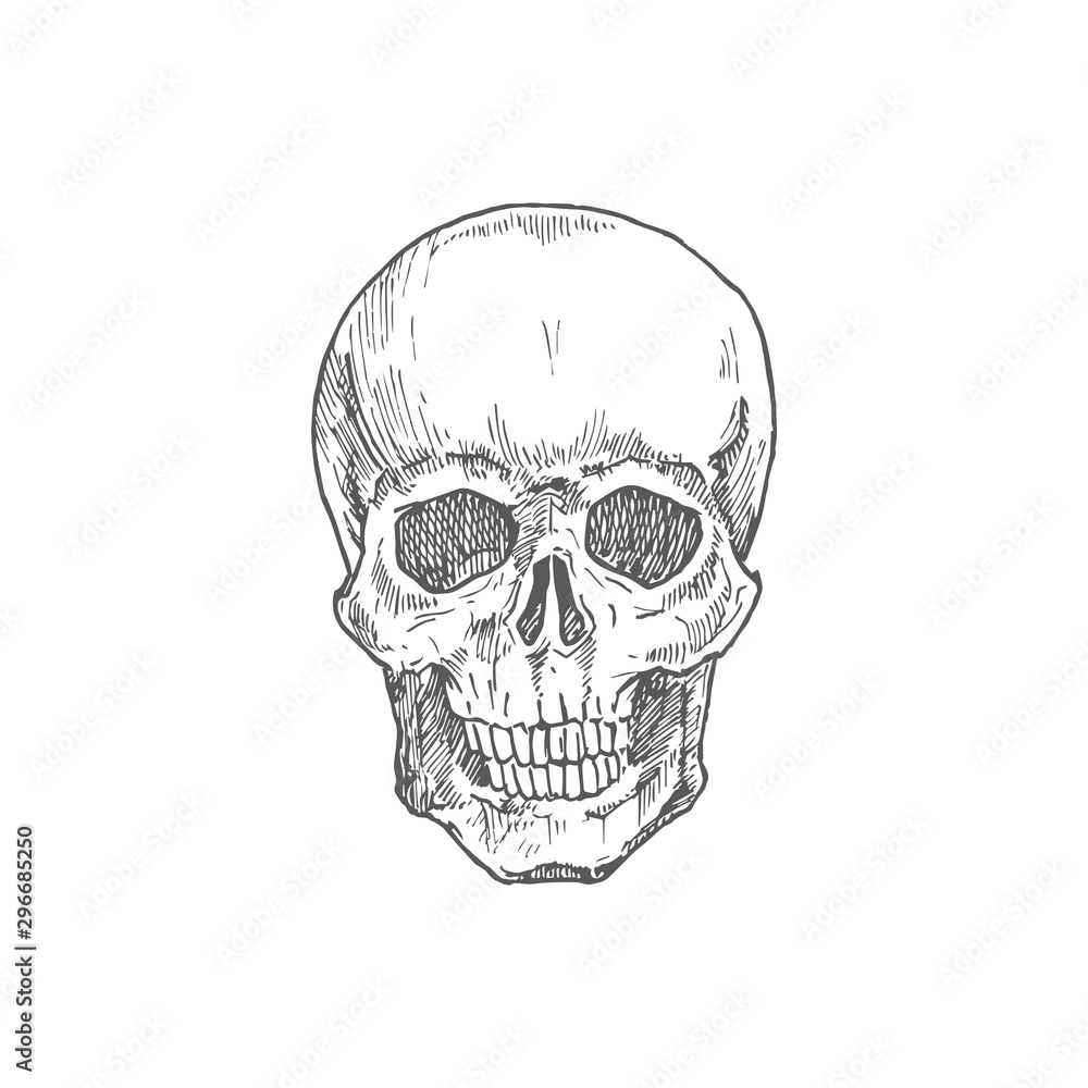 Hand Drawn Halloween Scary Scull Vector Illustration. Abstract Rustic Sketch. Holiday Engraving Style Drawing.