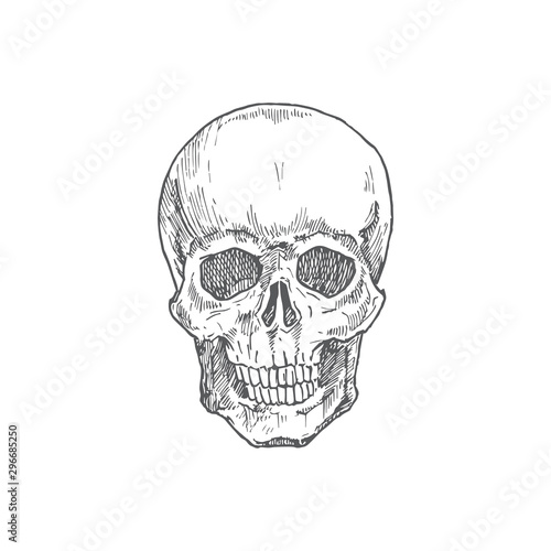 Hand Drawn Halloween Scary Scull Vector Illustration. Abstract Rustic Sketch. Holiday Engraving Style Drawing.