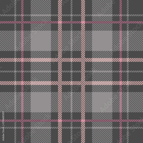 Beautiful checkered grey plaid pattern vector