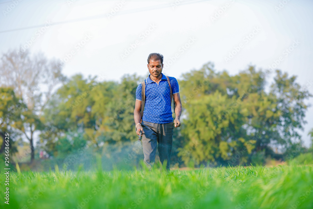 Indian farmer spraying pesticides in green wheat field Indian farmer spraying pesticides in green wheat field