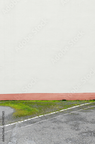 壁とアスファルトの苔 © araho