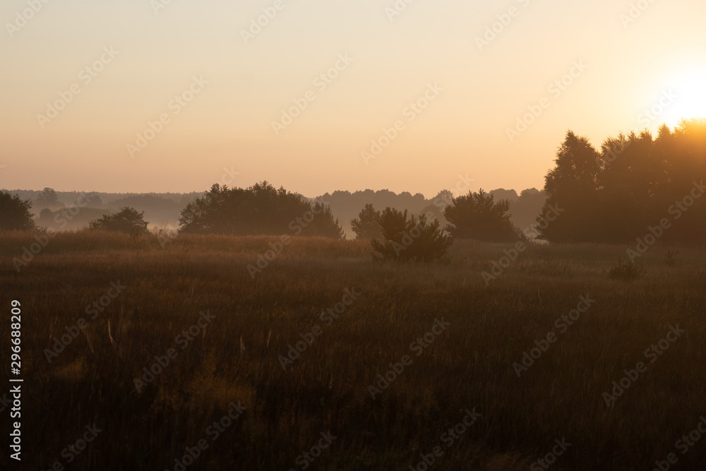 Fototapeta premium morning on meadow. sunrise landscape photo with vintage effect