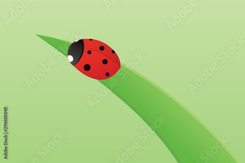 Ladybug on a blade of grass