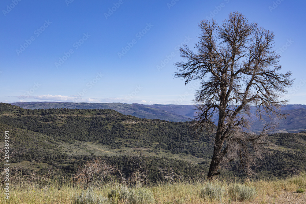 Rays Valley Road