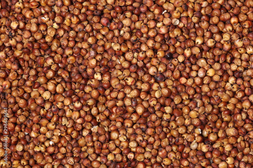 Fototapeta premium Sorgo seed (Sorghum Moench)