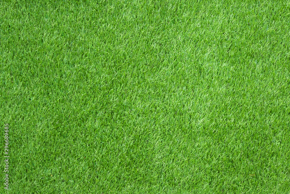 Naklejka Green grass texture for background.