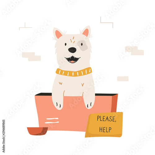Homeless dog sitting in a cardboard box
