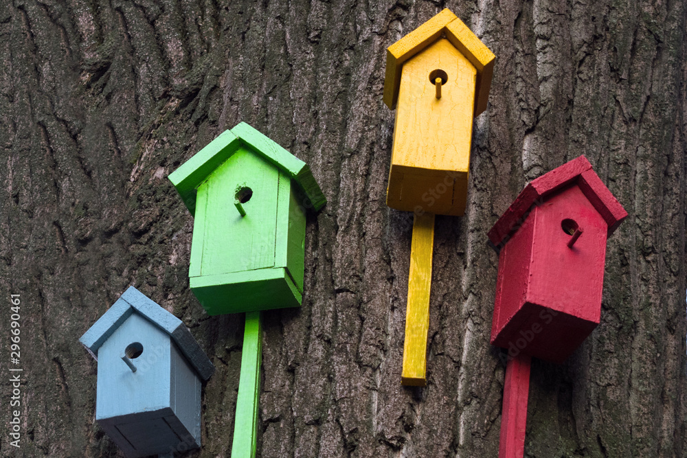 Four multi-colored birdhouse is on a big tree. Colored bird houses nailed to the trunk of a tree. Nature conservation concept. Four multi-colored birdhouse is on a big tree. Colored bird houses nailed to the trunk of a tree. Nature conservation concept.