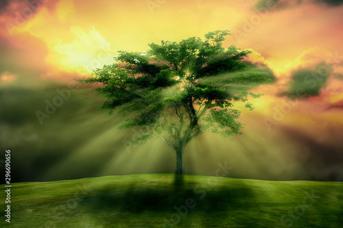 The sunrise with the sun shining behind the green trees in front Light penetrates the tree