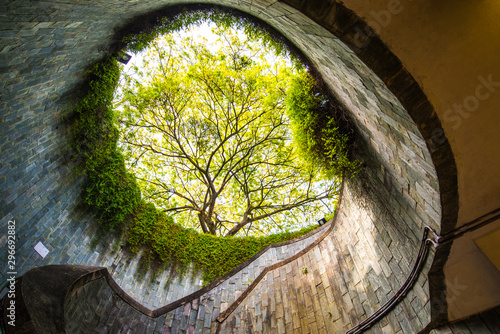 Tree tunnel in singapore