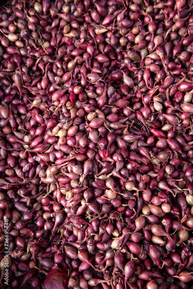 Seedlings of purple onion for sowing. Onions background. Seedlings of purple onion for sowing. Onions background.
