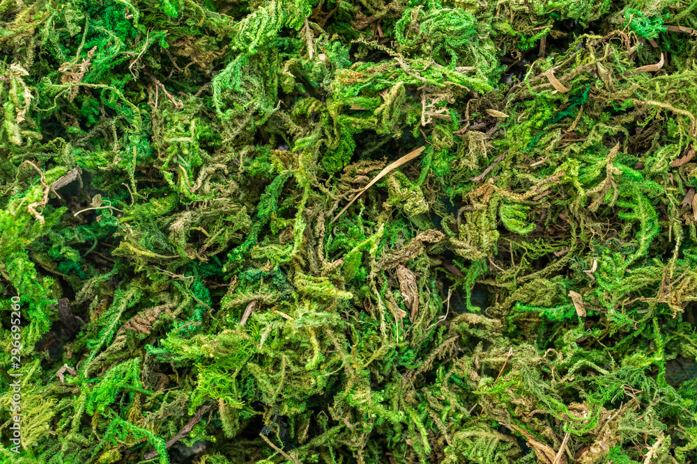 Background in the form of a heap of green moss, top view