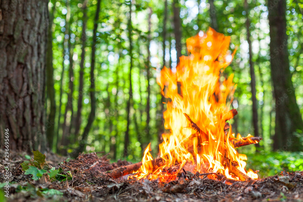 Hot flames of bonfire in the autumn wood. The place for meditation and relaxation after walking in the forest. Hot flames of bonfire in the autumn wood. The place for meditation and relaxation after walking in the forest.