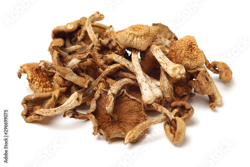 dried mushroom on white background