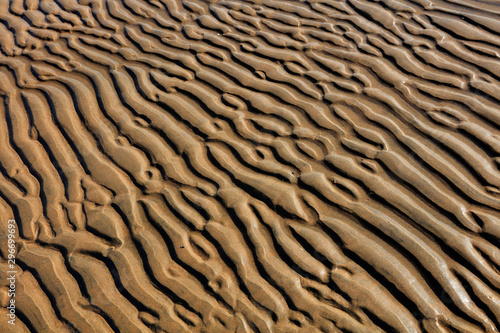 seaside beach texture