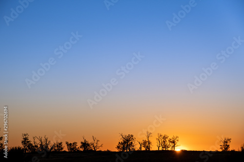 Sunset over trees with smooth color gradients from blue to orange and copy space