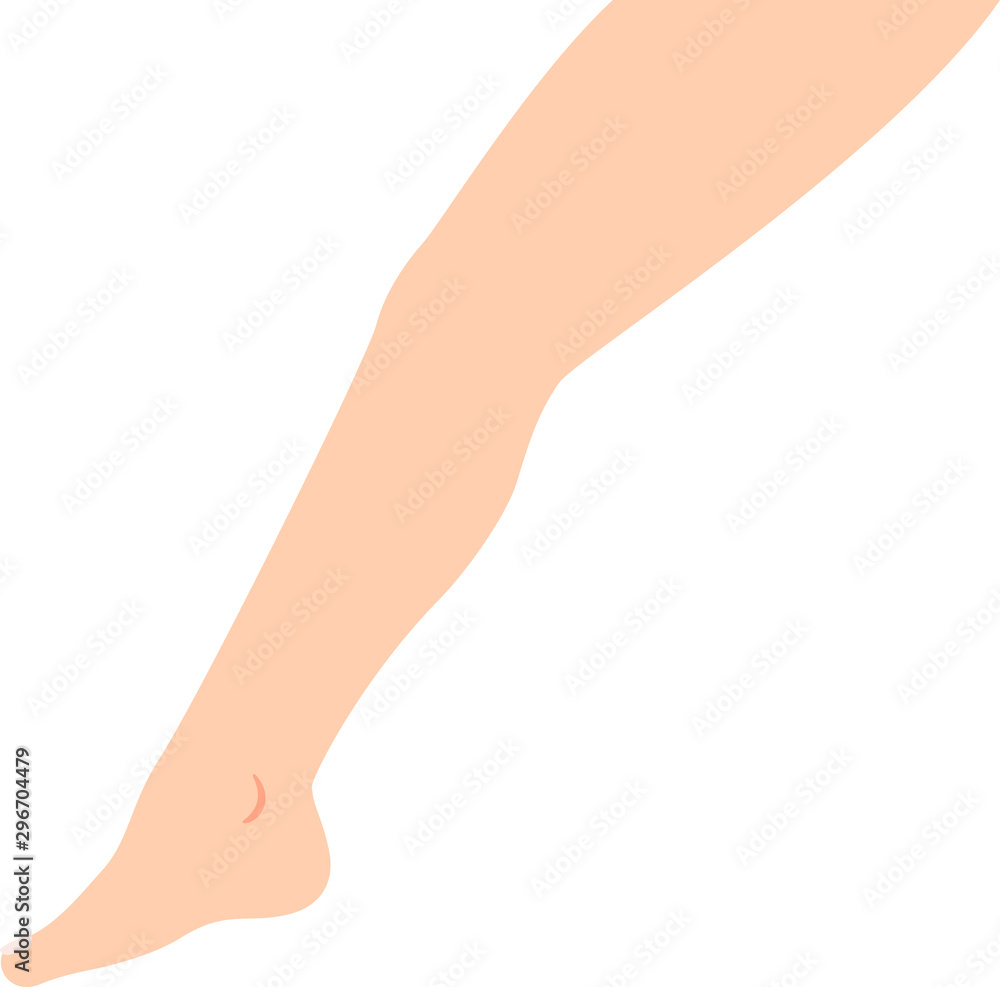 横から見たシンプルな脚のイラスト Stock Vector Adobe Stock 横から見たシンプルな脚のイラスト Stock Vector Adobe Stock
