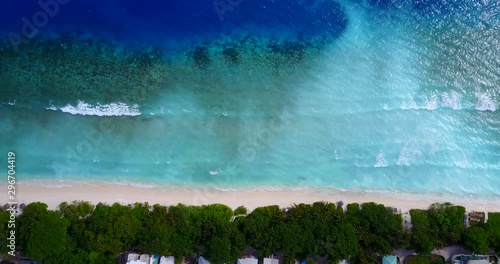 paradise white sand beach on caribbean tropical island with preserved nature. Palm forest and turquoise water photo