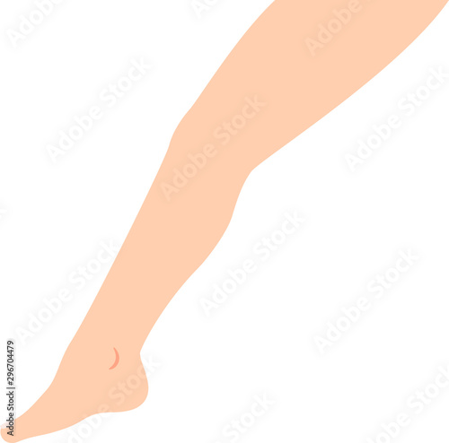 横から見たシンプルな脚のイラスト