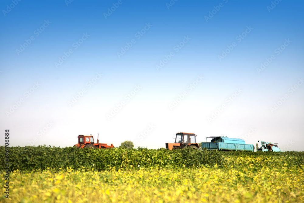 Agricultural machines in a soy field in a bright sunny summer day. Agricultural machines in a soy field in a bright sunny summer day.