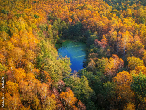 Amazing autumnal landscape of small pond in the forest, Poland