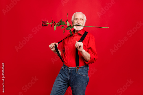 Portrait of his he nice attractive funny cheerful glad positive gray-haired man holding in mouth rose pulling suspenders having fun isolated over bright vivid shine vibrant red background