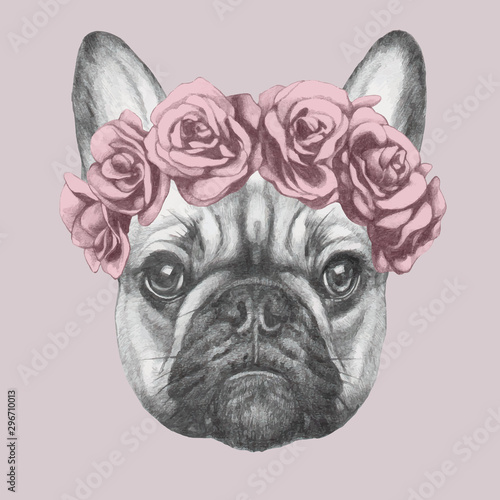 Portrait of French Bulldog with floral head wreath. Hand drawn illustration o...