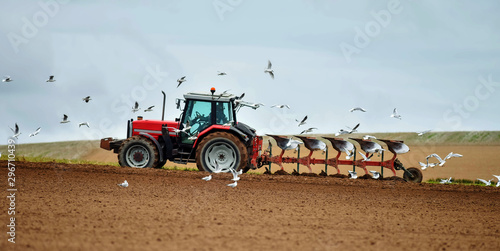 Fotografie farmer at work in the middle of the seagulls