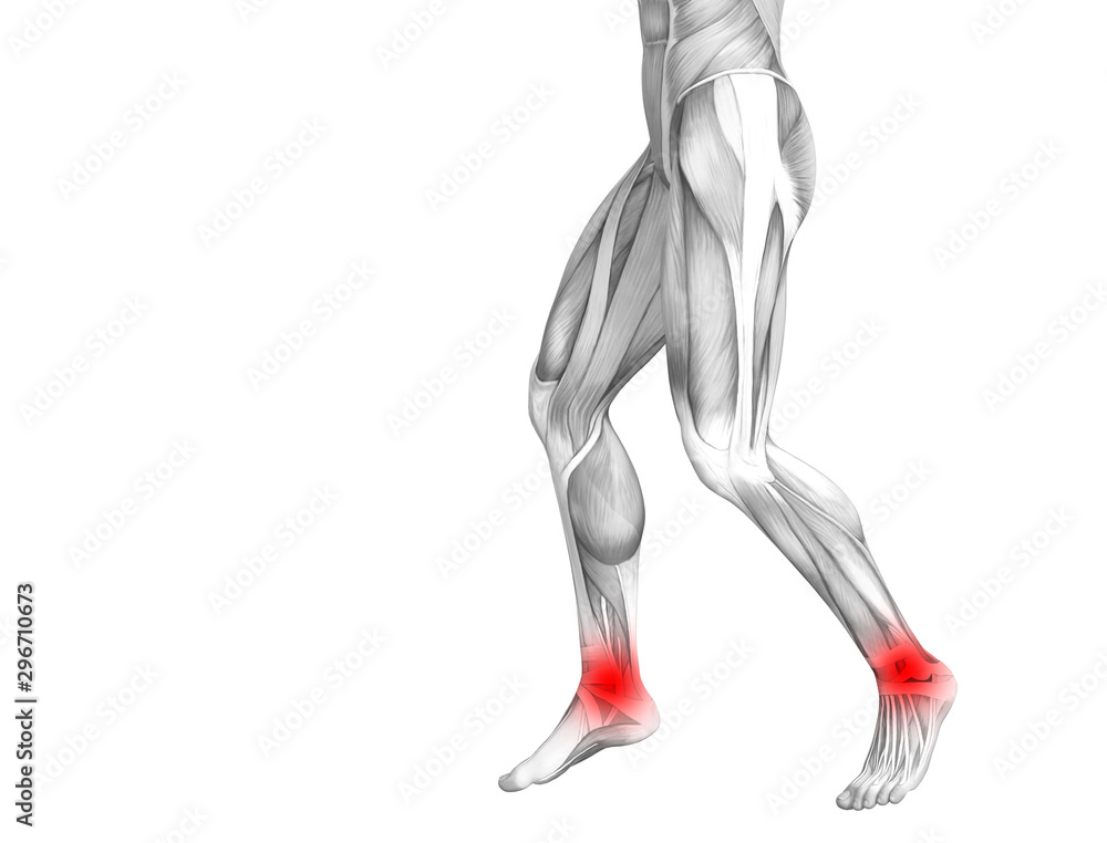 Conceptual ankle human anatomy with red hot spot inflammation or articular joint pain for leg health care therapy or sport muscle concepts. 3D illustration man arthritis or bone osteoporosis disease Conceptual ankle human anatomy with red hot spot inflammation or articular joint pain for leg health care therapy or sport muscle concepts. 3D illustration man arthritis or bone osteoporosis disease
