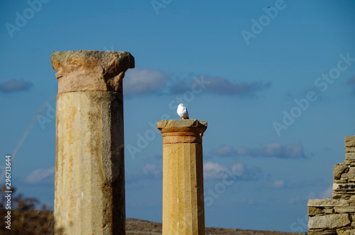 Antike und historische Tempel Ruinen mit Säulen und Mauern auf Museum Insel Ausgrabungsstätte Delos in Griechenland im Ägäischen Meer mit Apollon Heiligtum photo