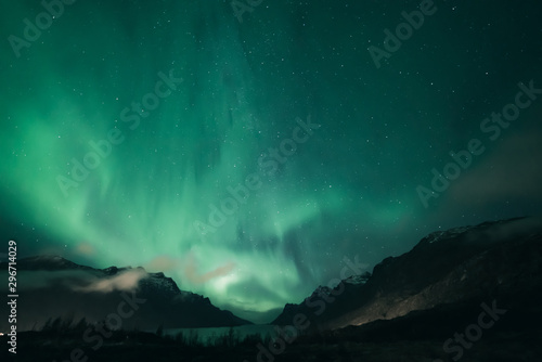 Northern lights covering the sky at fjord surrounded by mountains. In foreground dark silhouttes of plants. Afew clouds on the sky. photo