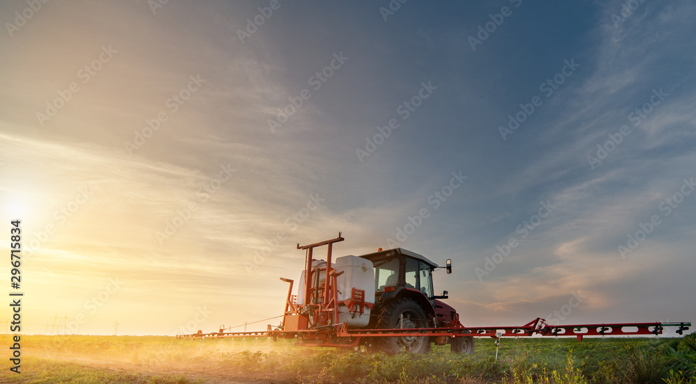 Fototapeta premium Tractor spraying soybean field in sunset