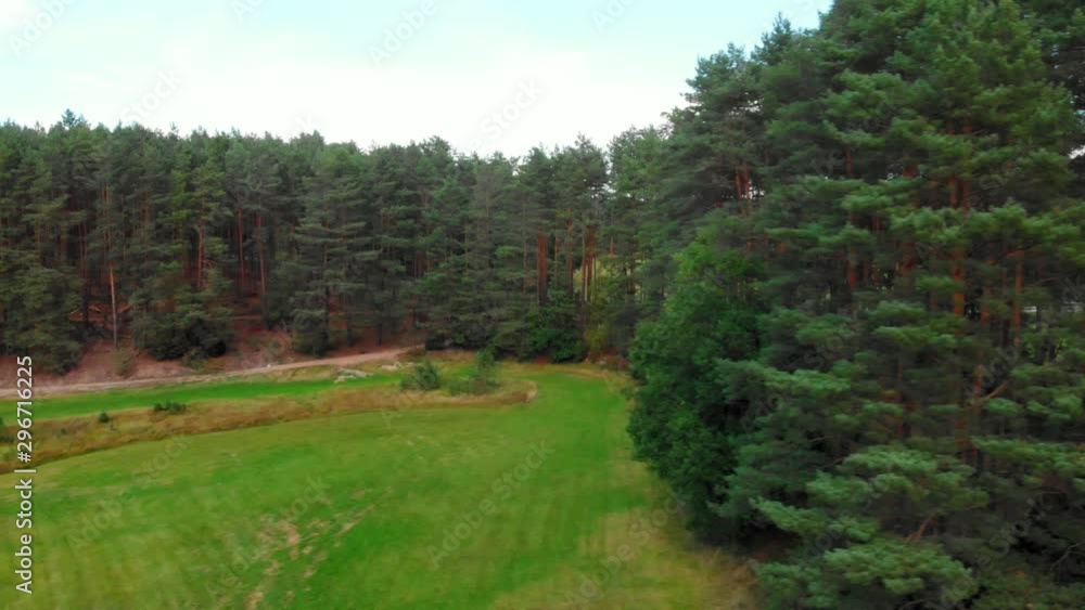 A drone fly over shot through a woodland clearing which tracks past the forest of thick fir trees. A drone fly over shot through a woodland clearing which tracks past the forest of thick fir trees.
